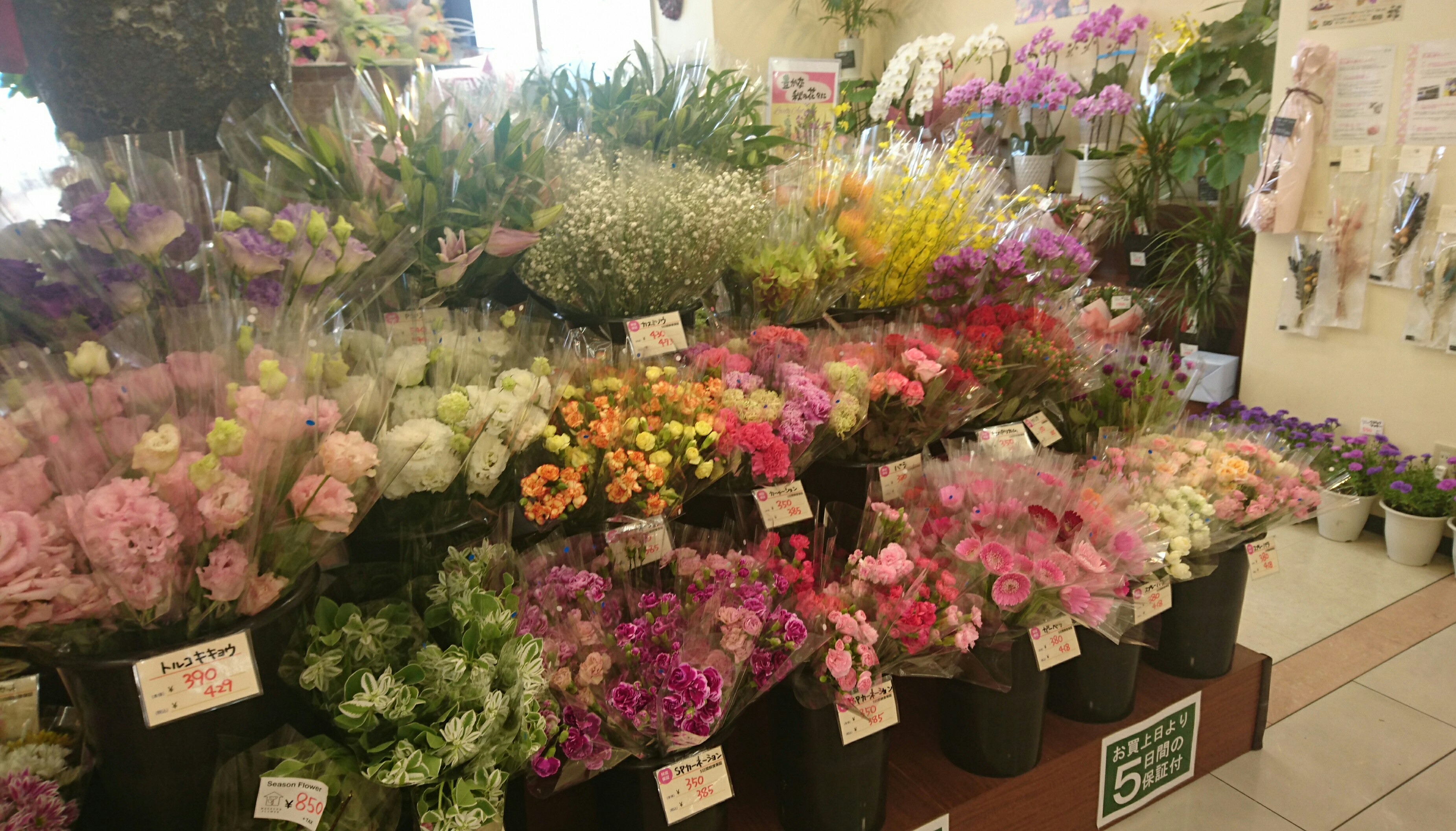 ゆめタウン 広島店 花の森みやもと